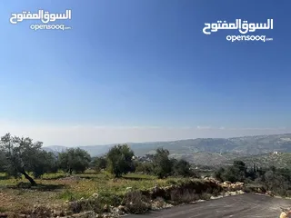  4 ارض للبيع في بدر الجديدة دونم عاليه جداً اطلاله بانورامية كاشفة فلسطين والسلط منطقة فلل