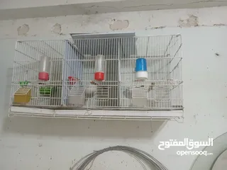  5 مطاير للبيع