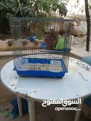  10 خمسة اقفاص ابحالة جيدة قابل للبدل او لتر بكس