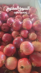  7 مشروع تجاري مربح