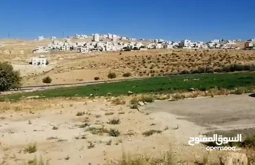  4 أرض مميزه جدا للبيع بشفا بدران بسعر ممتااااز