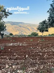  3 أرض مميزه _الصبيحي _ بيوضه الشماليه