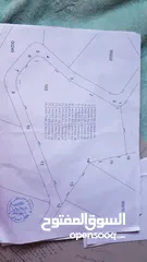  1 قطعة أرض مميزة زراعي او استثماري تصلح شاليه او مزرعة للبيع 10 دونم