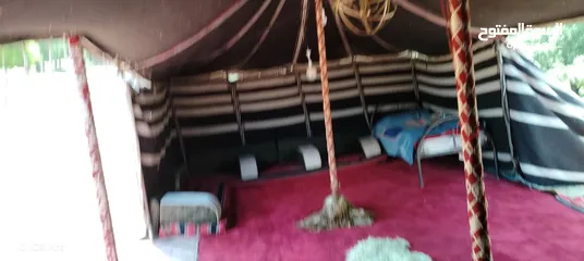  6 بيت شعر للبيع