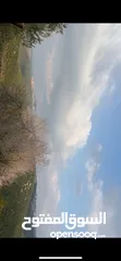  4 ارض مميزة للبيع