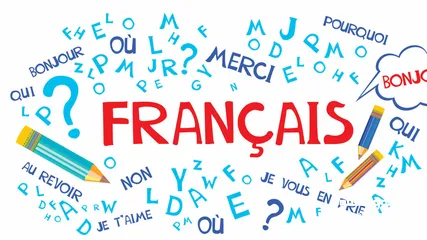  1 دروس ودورات في اللغة الفرنسية French language lessons and courses