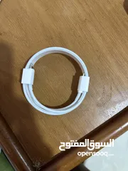  1 iPhone charger