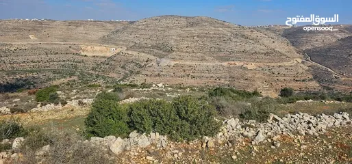  3 قطعة أرض للبيع  في عطارة رام الله