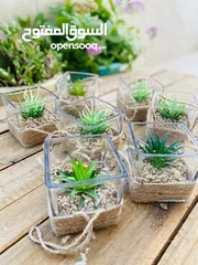  12 توزيعات هدايا