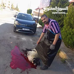  13 لحام جزار لذبح الاضاحي في المنازل عقائق نذور فدو ولجميع المناسبات الاجتماعية