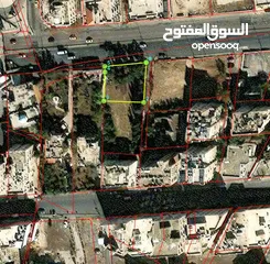  2 ارض مميزة جدا جدا جدا... لاصحاب الاستثمارات والمشاريع التجارية (وكالات، مطاعم سياحية، معارض، مجوهرات