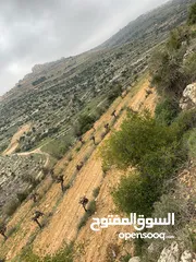  1 ارض مميزة للبيع منطقة ما بين حلحول و بيت امر