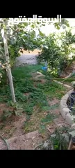  20 بيت ومنازل للبيع