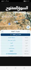  2 الجيزه زيزيا قرب مسجد أبو محفوظ شارع النخيل