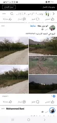  9 ارض للبيع في الحمه الاردنيه مزروع جوافه وكل انواع الحمضيات بثلاثه قواشين مستقلات ومتلاصقات لمالك واح