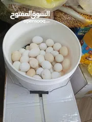  15 منتجات بلديه