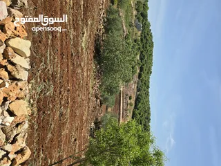  23 راس منيف 2 دونم راس منيف قوشان مستقل  عاليه و كاشفه  من مالك مباشره قريبه من جميع الخدمات راقيه