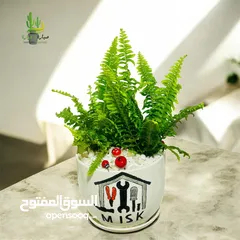 7 توزيعات للمناسبات والهدايا  وقواوير زينة داخل المنزل