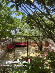  13 ششقق مفروشه ومستقله في جبال عجلون