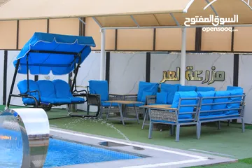  18 مزرعه العز طريق الزرقاء جرش