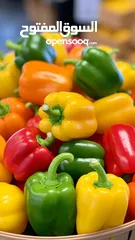  15 الفواكه والخضروات بالجملة / fruit and vegetables wholesale