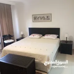  30 شقه دوبلكس  مفروشه للايجار ـ دير غبار  ـ 280م