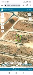  4 ارض في ام رمانة 500م حوض دغيليب