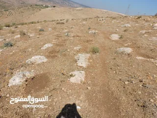  8 أجمل اطلالات جلعد-قوشان مستقل