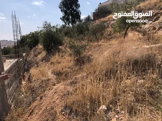  10 بلدية ارحاب/حمامة العموش