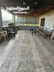  10 مزرعه مثمره للبيع