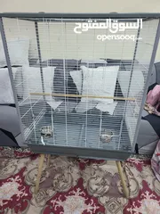  17 بيع الأثاث ومستلزمات الأطفال وإكسسوارات الحيوانات الأليفة وأقفاص الطيور  birds cages baby   items