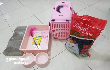  1 Cat supplies (Pink Theme)-all new