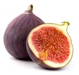  4 تين تركي براون Fig Fruit