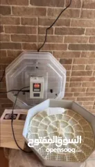  1 فقاصة سداسيه