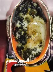  5 خواتم روحانية