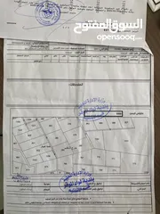  3 10 دونمات و 150 متر للبيع و بسعر مغري جدا كوشان مستقل