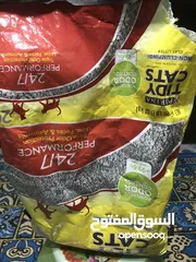  7 مستلزمات قطط