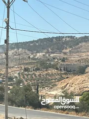  14 أرض 15دونم لبيع بسمر مغري خلف جامعة جرش وخلف مقام النبي هود في أشجار عمر 30سنه وبجانب شالات