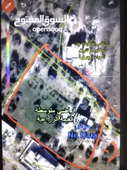  2 اربع دونمات للبيع بسعر ممتاز