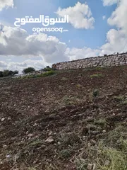  10 قطعه أرض في اجمل مواقع عجلون