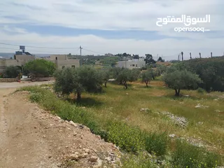 8 دنم مميز بطنا ع شارعين قرب شارع الستين الجديد