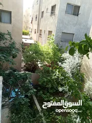  3 شقة مميزه للبيع بسعر مغري عين الباشا