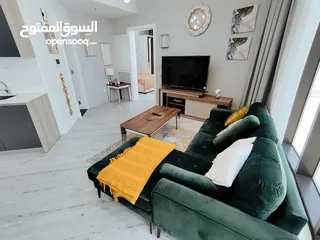  14 Luxurious furnished apartment for rent in Seef