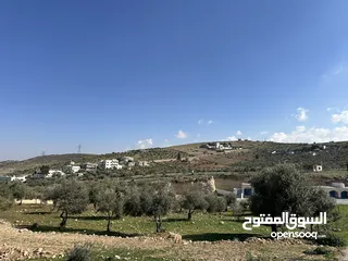  1 ارض 600م2 للبيع في ام رمانة بسعر لقطة بالقرب من شارع الأردن