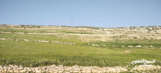  2 زينات الربوع قرب الترخيص