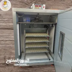  2 فـقـاسـات -350- بـيـضـة