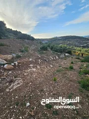  26 شركة عقارات اطلالة على البحر