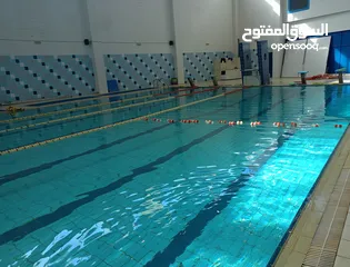  4 معلم ومدرب سباحة خاص (برايفت)