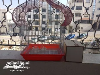  1 قفص عصافير مميز