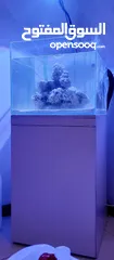  1 AQUARIUMS FOR SALE (Marine and freshwater)